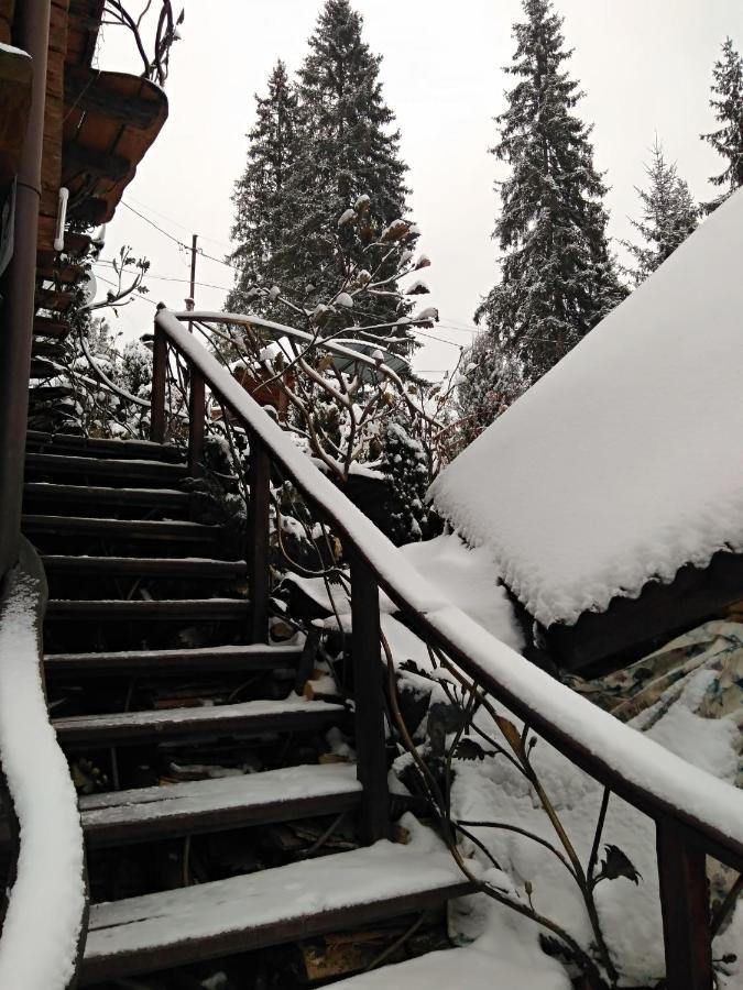 Любе Hotel Iablunîțea Exterior foto